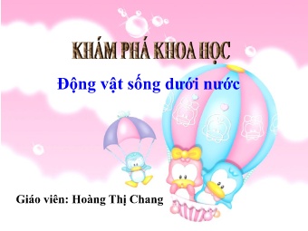 Bài giảng Mầm non Lớp Chồi - Đề tài: Khám phá khoa học Động vật sống dưới nước - Hoàng Thị Chang