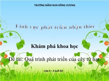 Bài giảng Mầm non Lớp Chồi - Đề tài: Quá trình phát triển của cây từ hạt - Trường Mầm non Đồng Vương