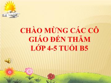 Bài giảng Mầm non Lớp Chồi - Đề tài: Thơ Thăm nhà bà - Nguyễn Thị Diệp