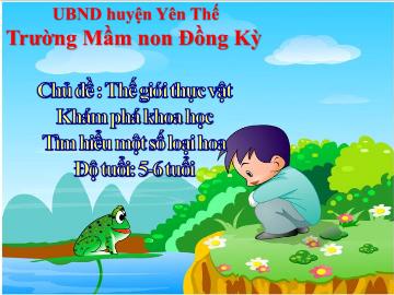 Bài giảng Mầm non Lớp Lá - Chủ đề : Thế giới thực vật - Đề tài: Tìm hiểu một số loại hoa - Trường Mầm non Đồng Kỳ