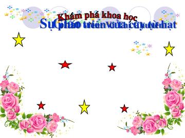 Bài giảng Mầm non Lớp Lá - Đề tài: Sự phát triển của cây từ hạt - Vi Thị Chuyên