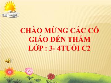 Bài giảng Mầm non Lớp Mầm - Chủ đề: Gia đình - Đề tài: Thơ thăm nhà bà - Chu Thị Trang