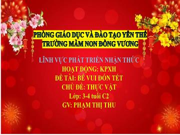 Bài giảng Mầm non Lớp Mầm - Chủ đề: Thực vật - Đề tài: Bé vui đón tết - Phạm Thị Thu