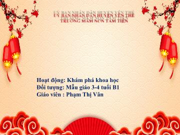 Bài giảng Mầm non Lớp Mầm - Đề tài: Bánh chưng - Phạm Thị Vân