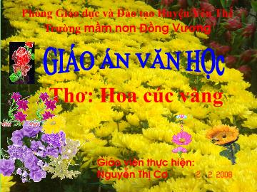 Bài giảng Mầm non Lớp Mầm - Đề tài: Thơ Hoa cúc vàng - Nguyễn Thị Cơ